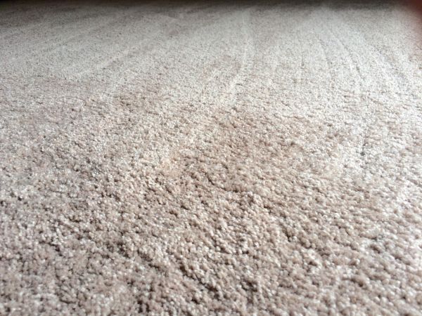 Plush Carpet Installation in Mechanicsburg