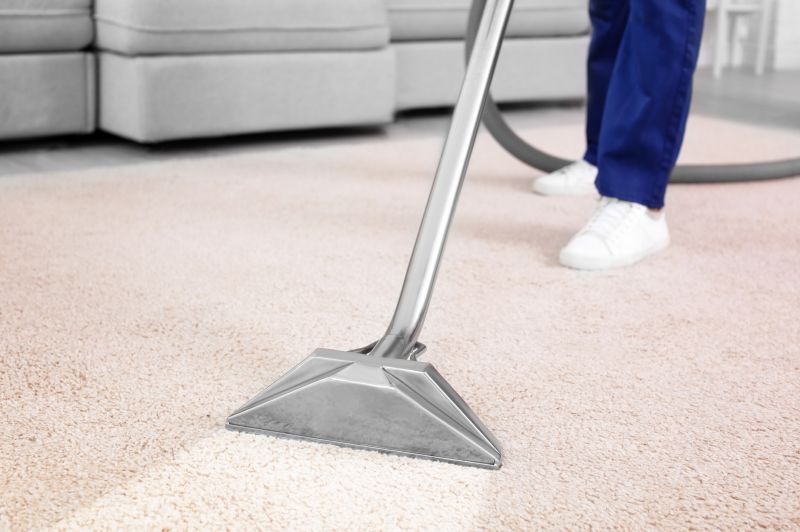 Holiday Carpet Cleaning Deals